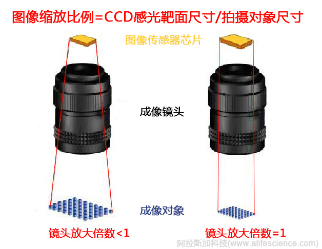 如何有效評(píng)價(jià)凝膠成像分析儀的技術(shù)性能-光學(xué)鏡頭