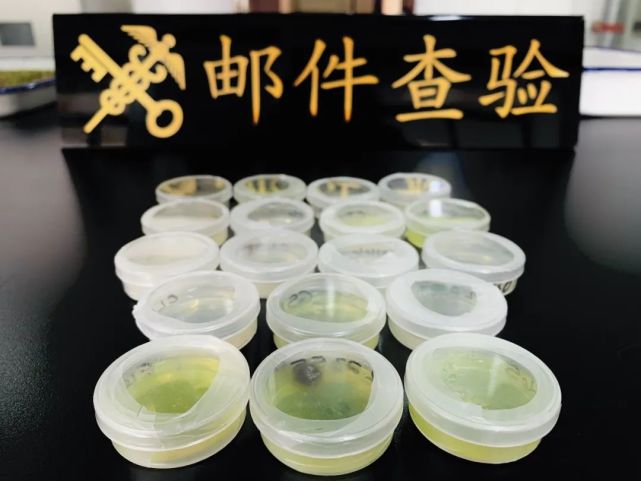 郵件中查獲秀麗隱桿線蟲(chóng)18盒