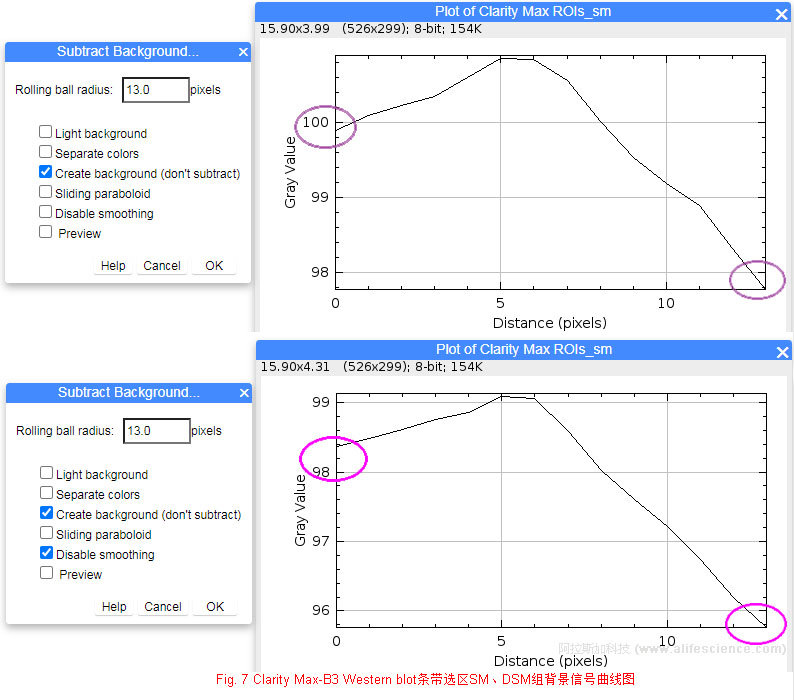 Fig 7 Clarity Max-B3 Western blot條帶選區(qū)SM、DSM組背景信號(hào)曲線圖.jpg