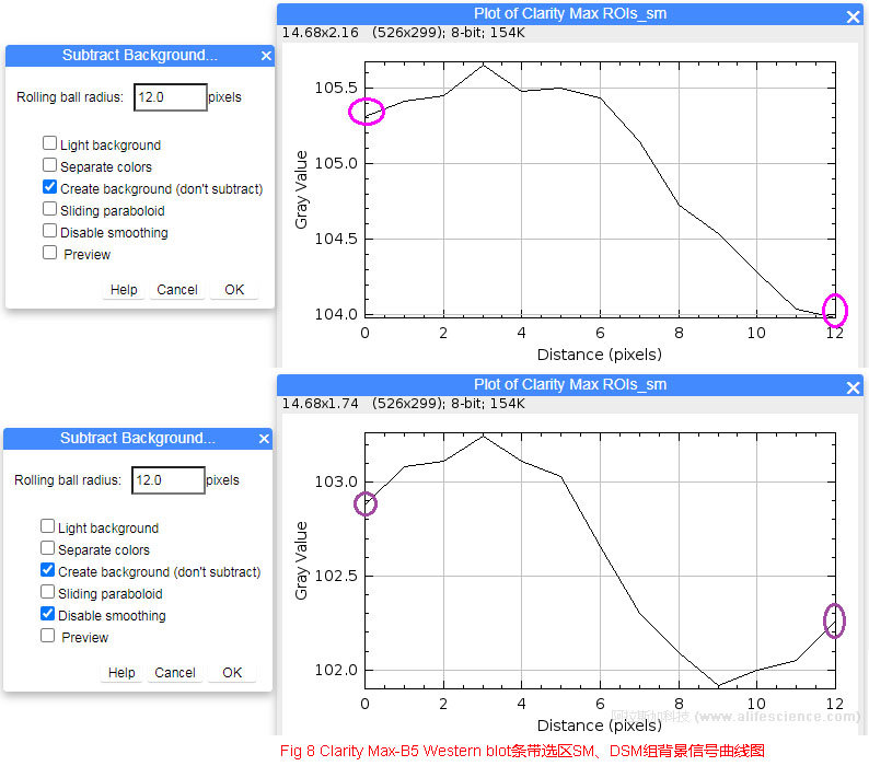 Fig 8 Clarity Max-B5 Western blot條帶選區(qū)SM、DSM組背景信號(hào)曲線圖.jpg