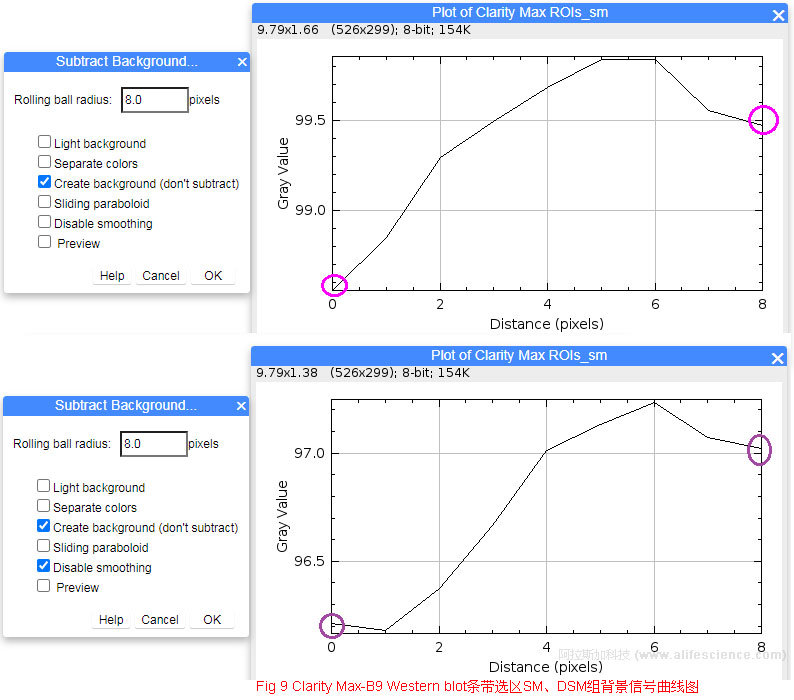 Fig 9 Clarity Max-B9 Western blot條帶選區(qū)SM、DSM組背景信號(hào)曲線圖.jpg