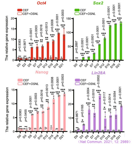 CFX Connect實(shí)時(shí)熒光定量PCR儀對(duì)iPS多能性標(biāo)記基因Oct4、Sox2、Nanog和Lin28A表達(dá)的檢測.jpg