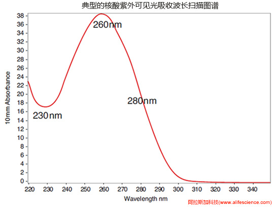 NanoDrop One C的核酸標(biāo)準(zhǔn)紫外波長(zhǎng)掃描圖.jpg