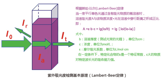 紫外吸光度檢測(cè)基本原理（Lambert-Beer定律）.jpg