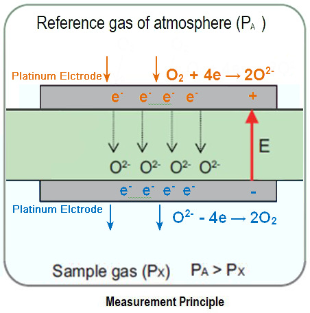 TSE PhenoMaster NG、Columbus CLAMS動物代謝分析系統氣體O2含量監(jiān)測的氧化鋯氧傳感器工作原理.jpg