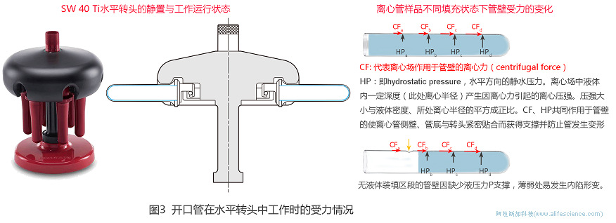 Beckman Optima XPN-100超速離心機開口管在SE40 Ti水平轉頭中工作時的受力情況.jpg