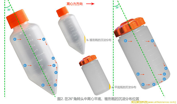 圖2.角轉(zhuǎn)頭中離心平底、錐形瓶的沉淀分布位置.jpg