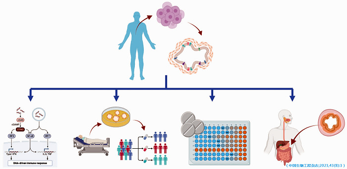 圖3 類器官技術(shù)的主要應(yīng)用場(chǎng)景.jpg 圖3 類器官技術(shù)的主要應(yīng)用場(chǎng)景.jpg