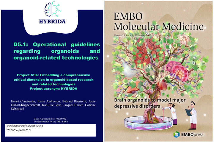 圖6 HYBRIDA指南對類器官技術(shù)開發(fā)和應(yīng)用的指導(dǎo)意義.jpg 圖6 HYBRIDA指南對類器官技術(shù)開發(fā)和應(yīng)用的指導(dǎo)意義.jpg