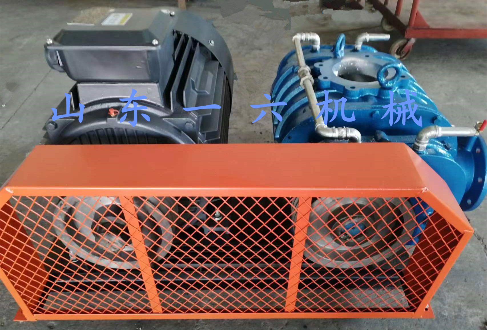 1717037630101271.jpg 1717037630101271.jpg